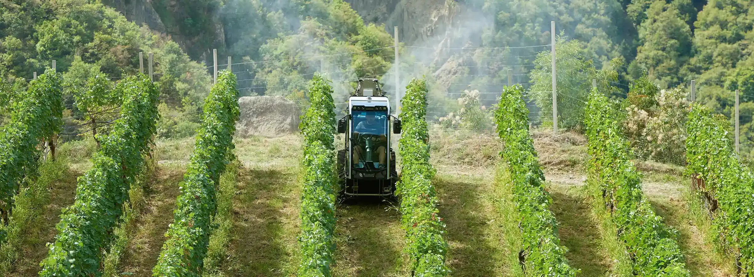 Mondo Agri - WM technics