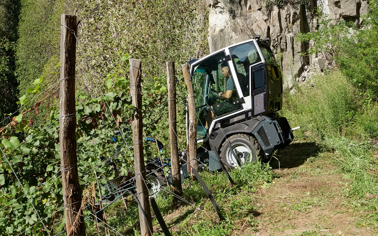 Trattore elettrico in un vigneto tra filari di viti e pali di legno.